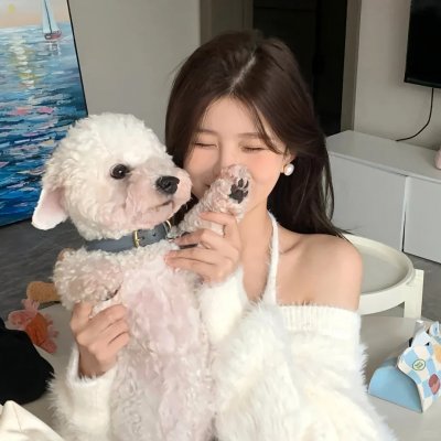 我的新上司是天然呆